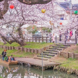 RỰC RỠ SẮC MÀU NHẬT BẢN 6 NGÀY 5 ĐÊM