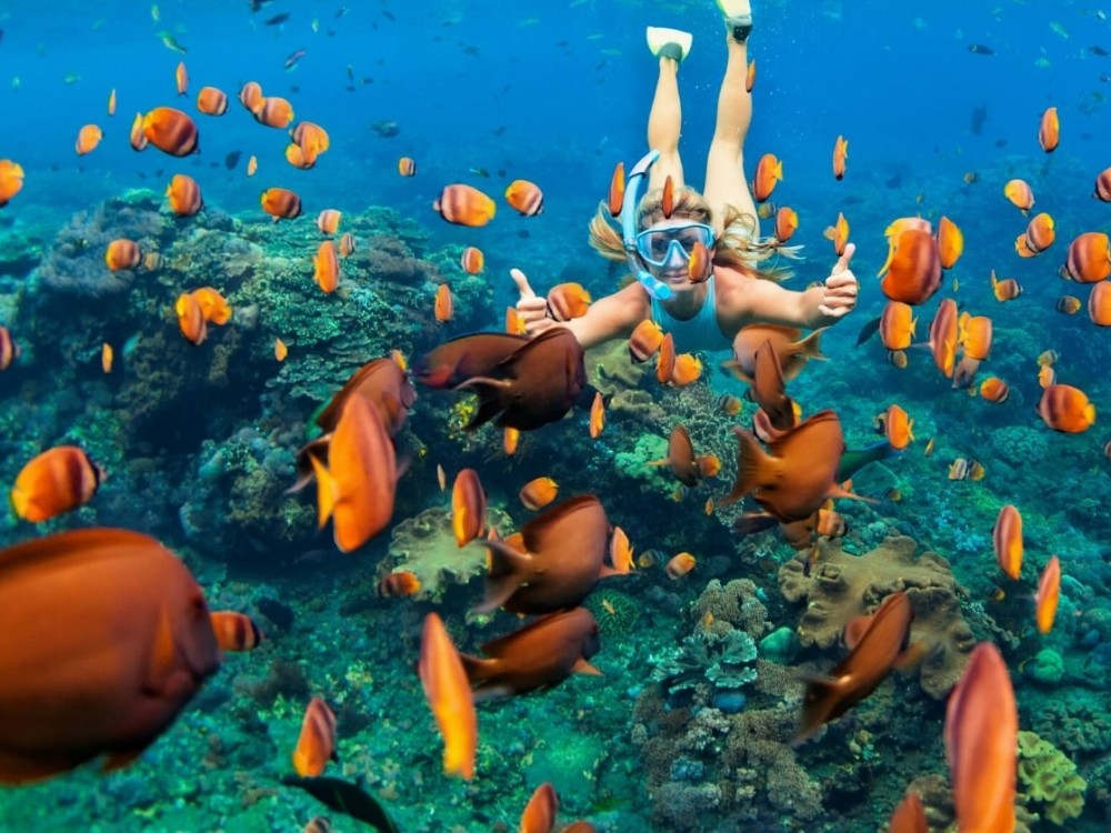 TOUR SNORKELING NAM ĐẢO PHÚ QUỐC DAILY TOUR SNORKELING NAM ĐẢO PHÚ QUỐC DAILY