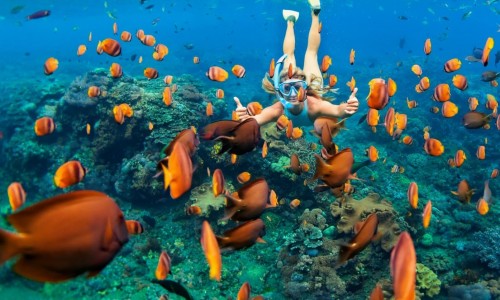 TOUR SNORKELING NAM ĐẢO PHÚ QUỐC DAILY